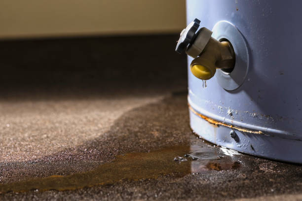 Best Professional water damage repair  in Somerdale, NJ