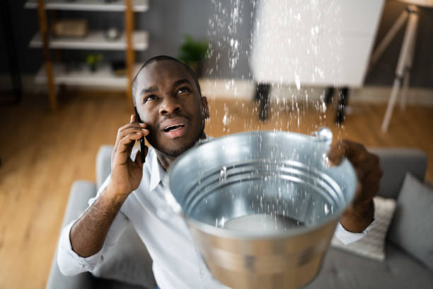 Best Local water damage restoration  in Somerdale, NJ
