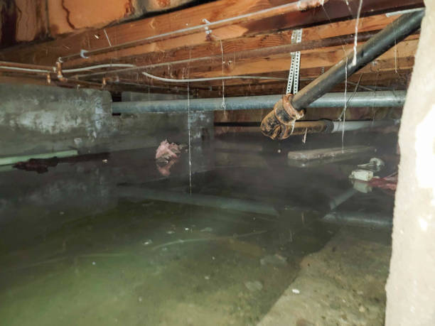 Best Fire Damage Restoration  in Somerdale, NJ
