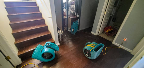 Best Sewage cleanup and water damage restoration  in Somerdale, NJ