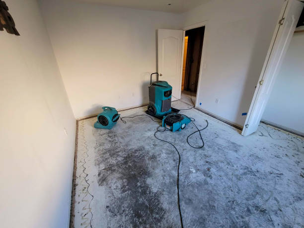 Best Water damage repair service  in Somerdale, NJ