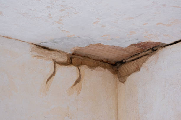 Best Carpet water damage restoration  in Somerdale, NJ