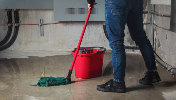 Best Commercial water damage restoration  in Somerdale, NJ