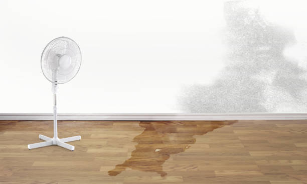 Best Water damage restoration near me  in Somerdale, NJ