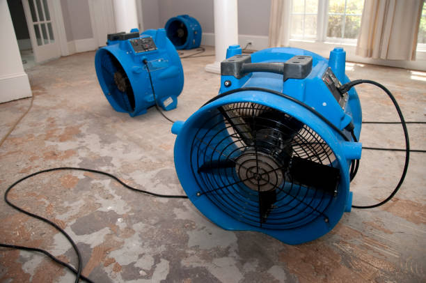 Best Water damage restoration near me  in Somerdale, NJ