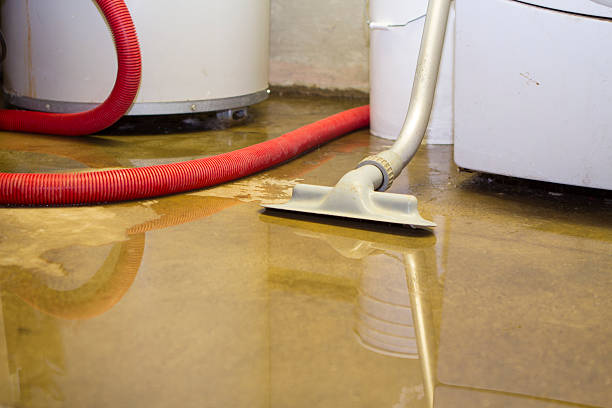 Best Flooded house restoration  in Somerdale, NJ