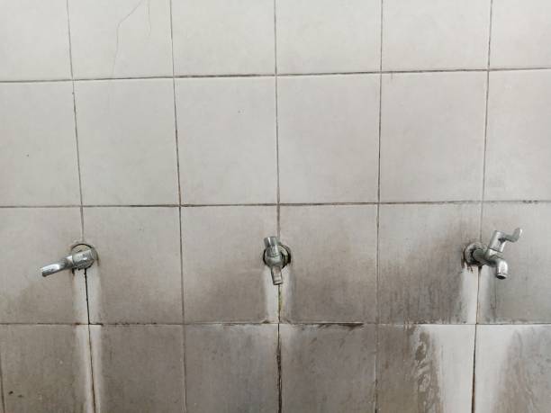 Best Water damage restoration insurance claims  in Somerdale, NJ