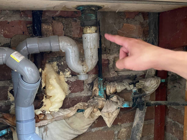 Best Water damage restoration near me  in Somerdale, NJ