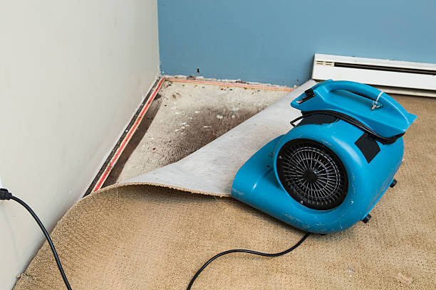 Best 24-hour water damage restoration  in Somerdale, NJ